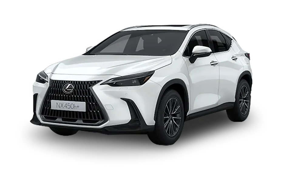 렉서스 New Generation NX